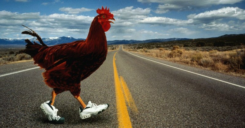 Chicken road - La ruta del pollo: Descubre el juego de azar más popular en España